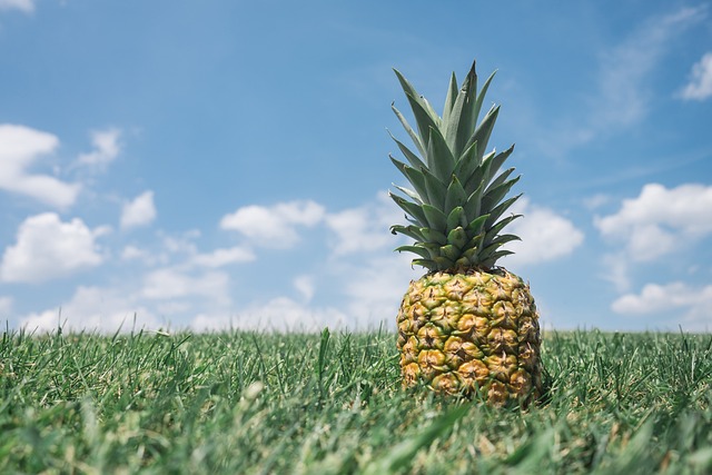 Een eigen ananasplant kweken: De kunst van stekken ontrafeld