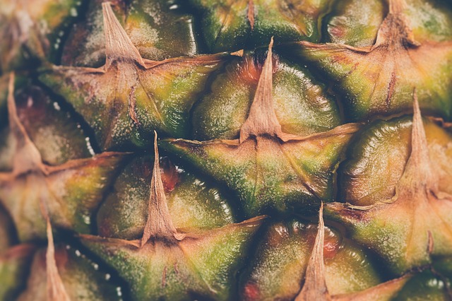 Ananasplant in je eigen tuin: tips en verzorging voor beginners